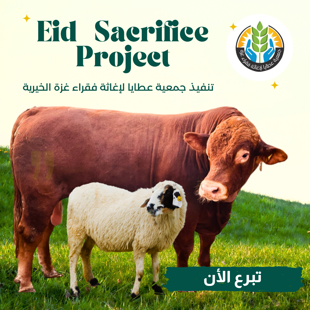 Eid Sacrifice Project 2023