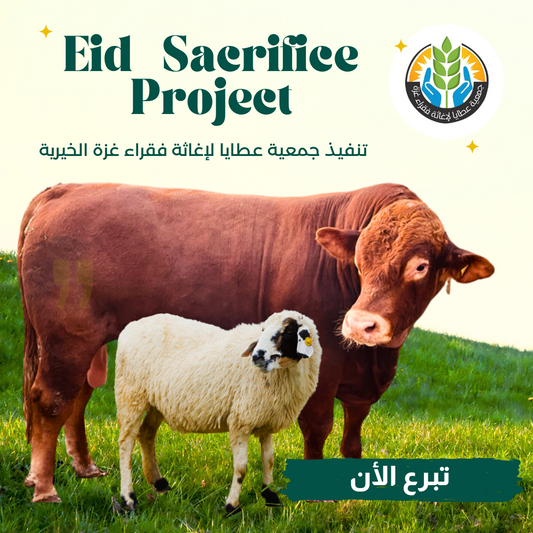 Eid Sacrifice Project 2023